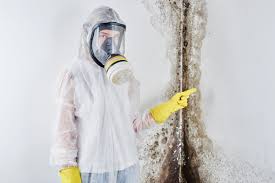  , USA Mold Removal Pros